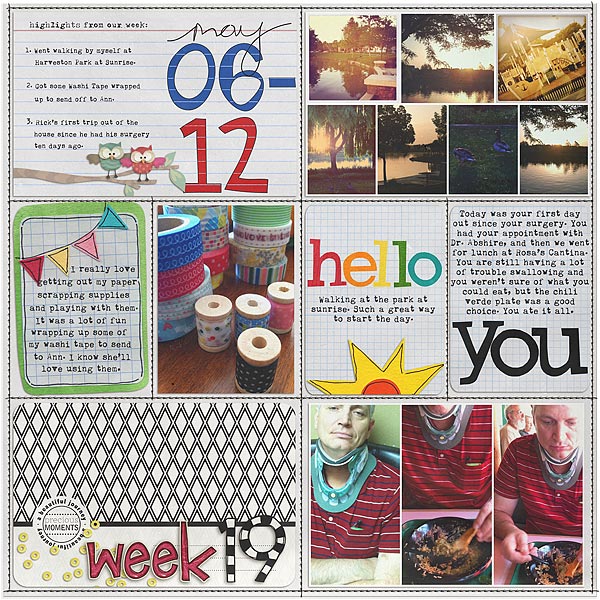 Project Life Week 19