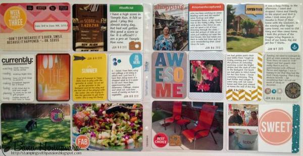Project Life Week 23