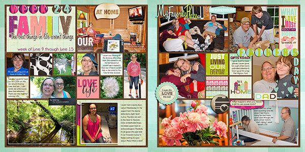 Project Life Week 24