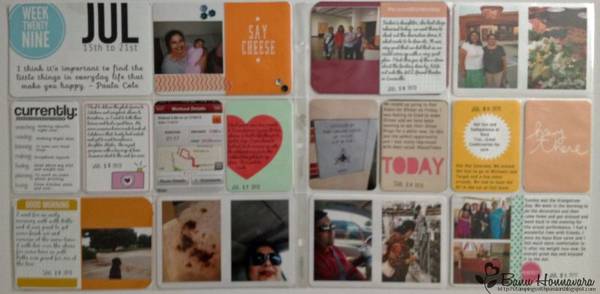 Project Life Week 29