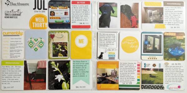 Project Life Week 30