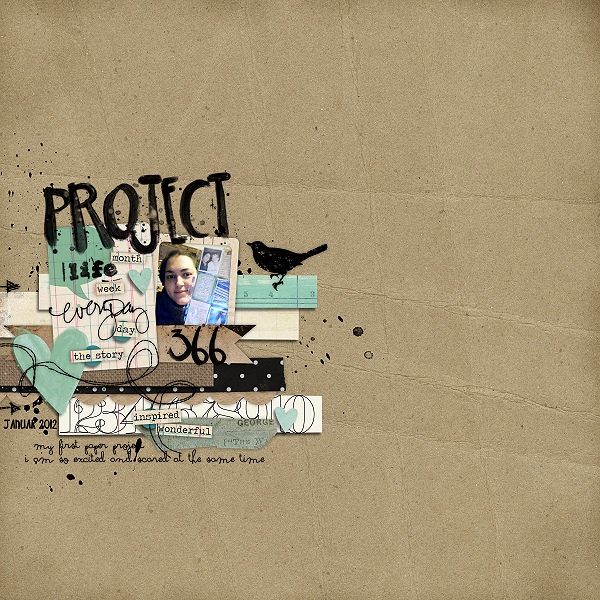 project life