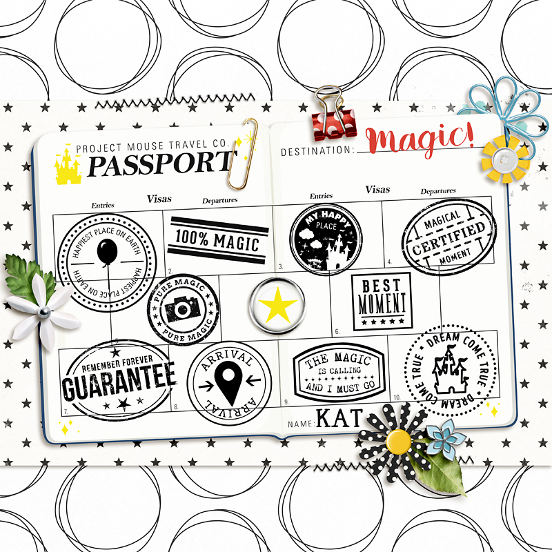 Project Mouse 6 Completed Passport