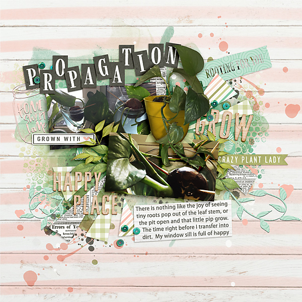 pRopagation-station-copy