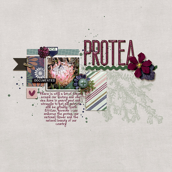 Protea