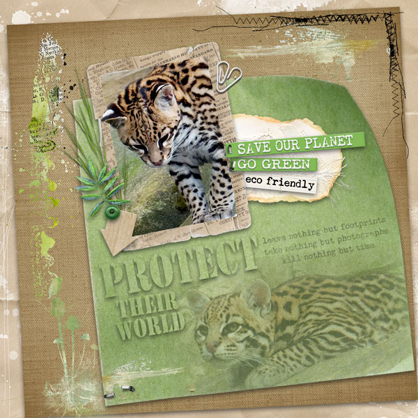 Protect-their-world