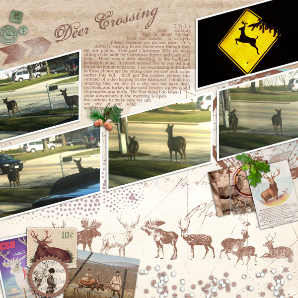 PS - TLP MOC D 22