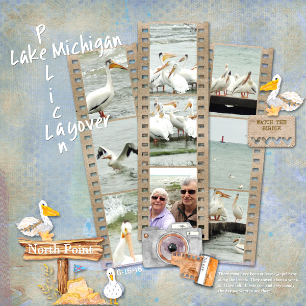 PS - TLP Pelicans