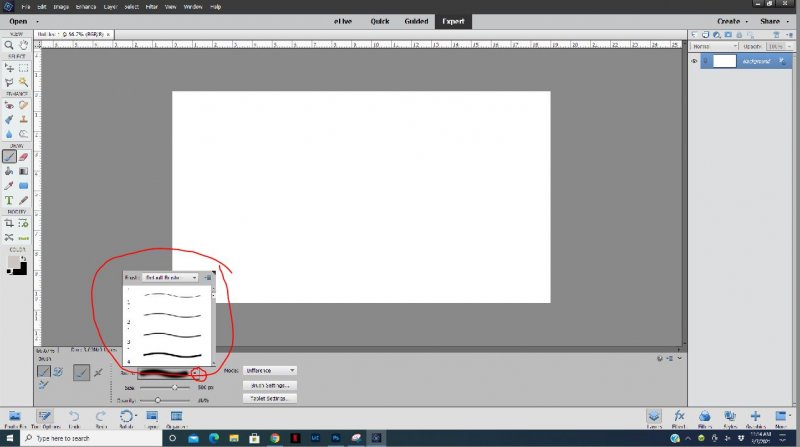 PSE Brush 2