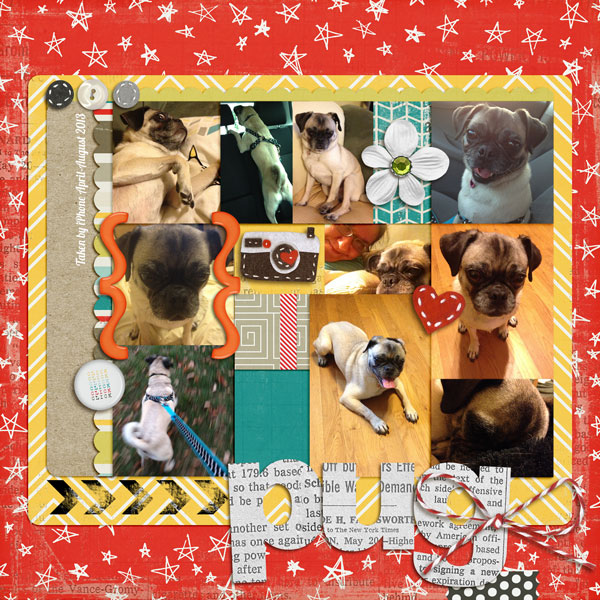 Pug Mugs 1