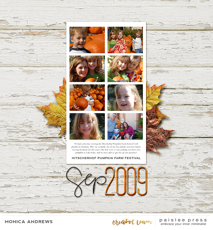 Pumpkin Farm Festival