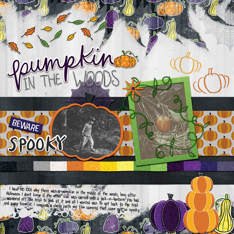 pumpkin in the woods