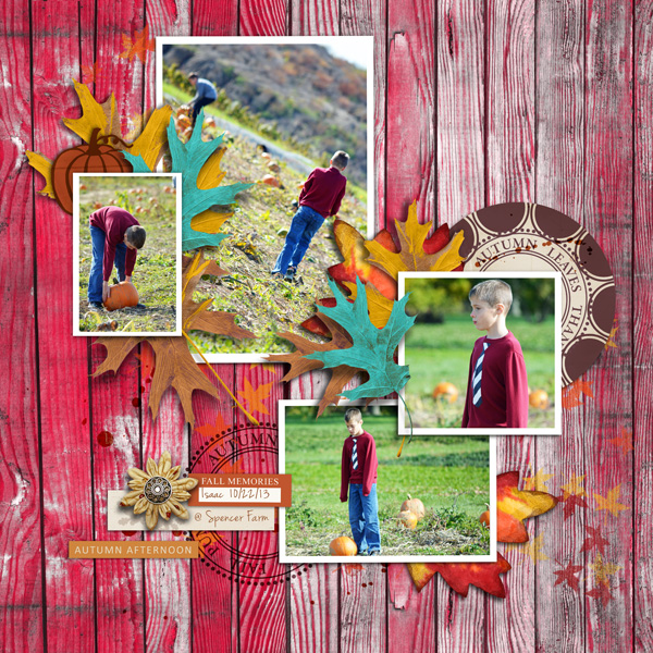 Pumpkin Patch 2013