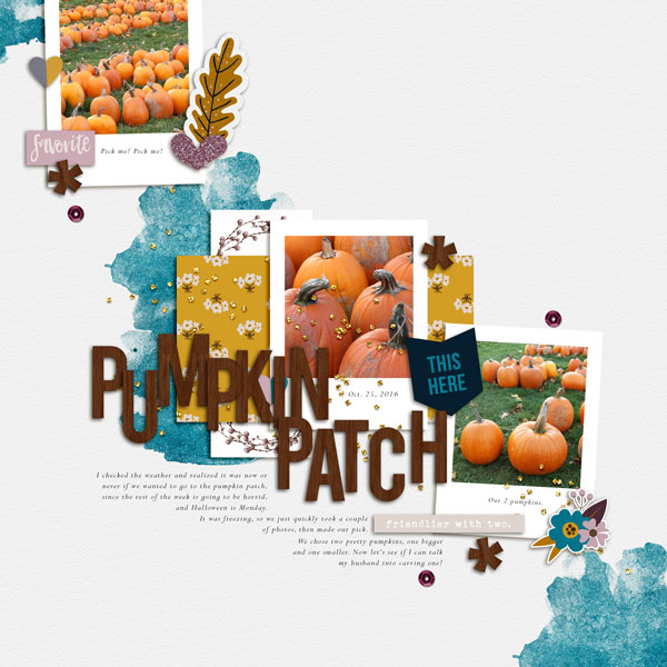 Pumpkin Patch 2016
