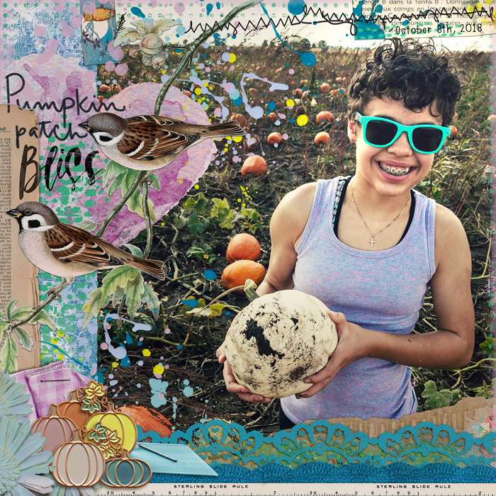 Pumpkin Patch Bliss