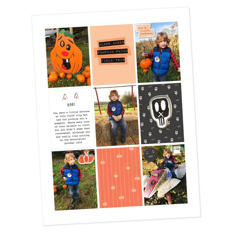 Pumpkin patch visit