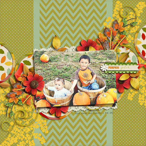 Pumpkin patch