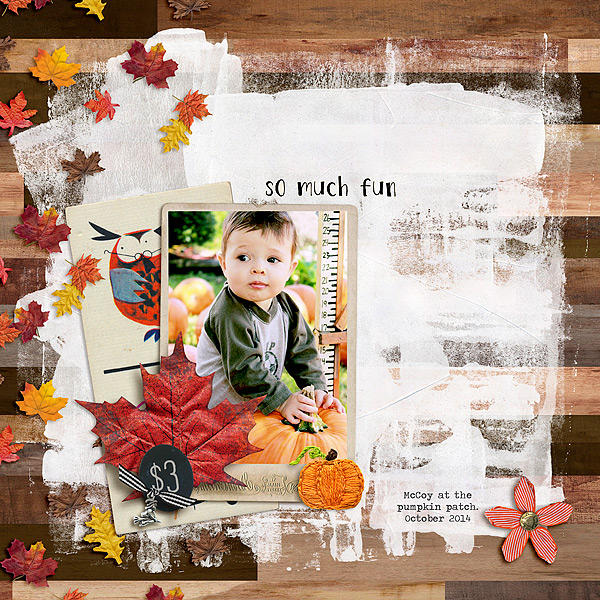 Pumpkin Patch