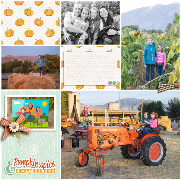 Pumpkin patch