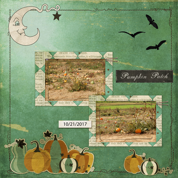 Pumpkin-Patch