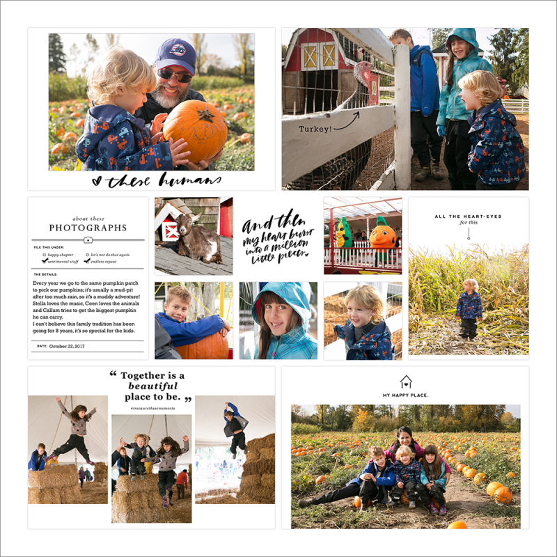 Pumpkin patch