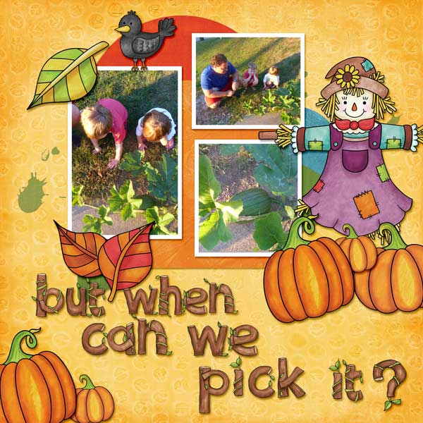 Pumpkin Patch