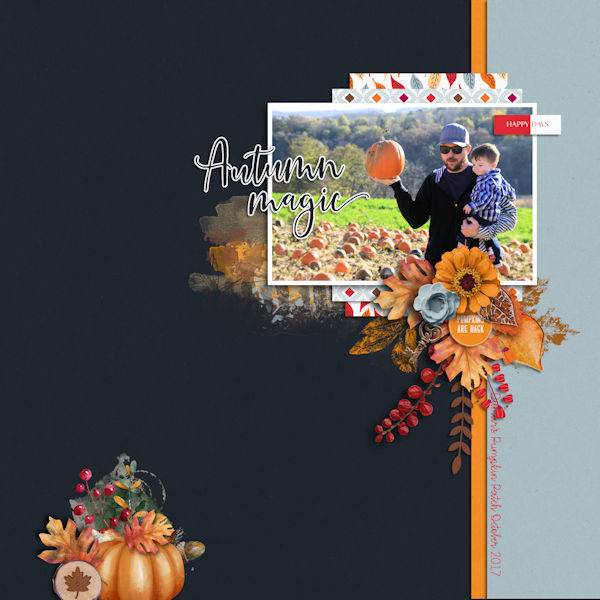 Pumpkin Patch