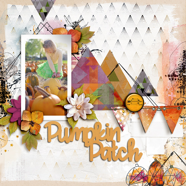 Pumpkin Patch