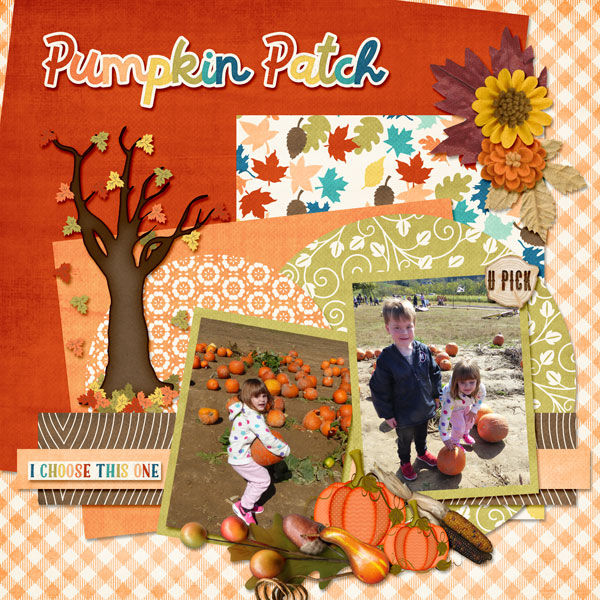 Pumpkin Patch