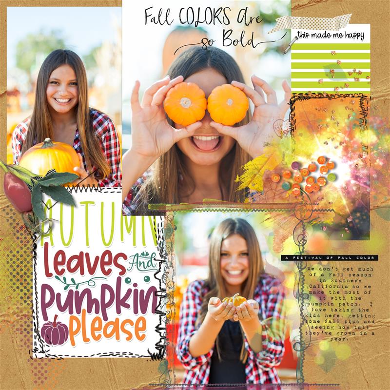 Pumpkin Patch