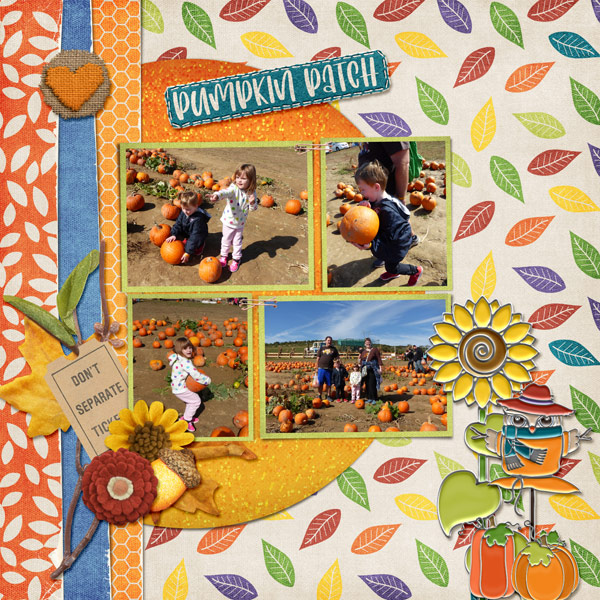 Pumpkin Patch
