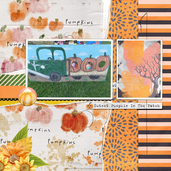 Pumpkin Patch