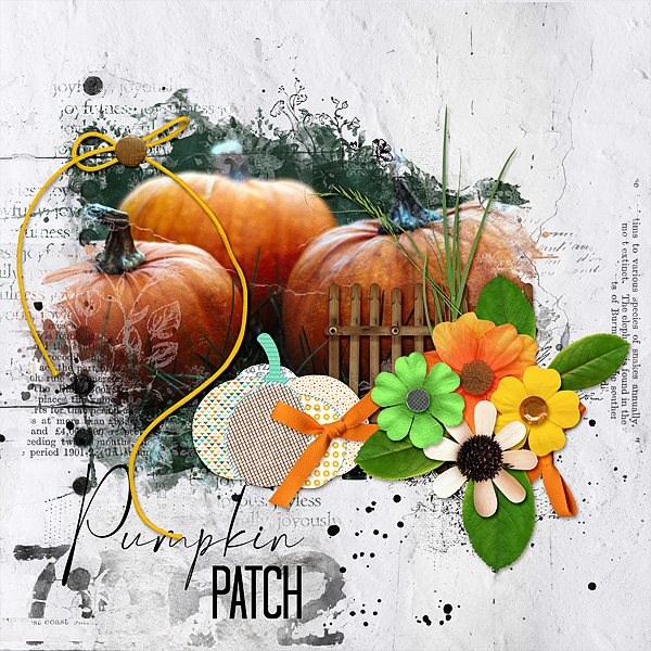 Pumpkin Patch