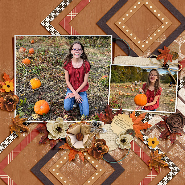Pumpkin Patch