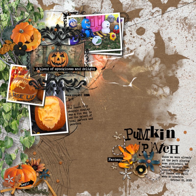 Pumpkin-patch