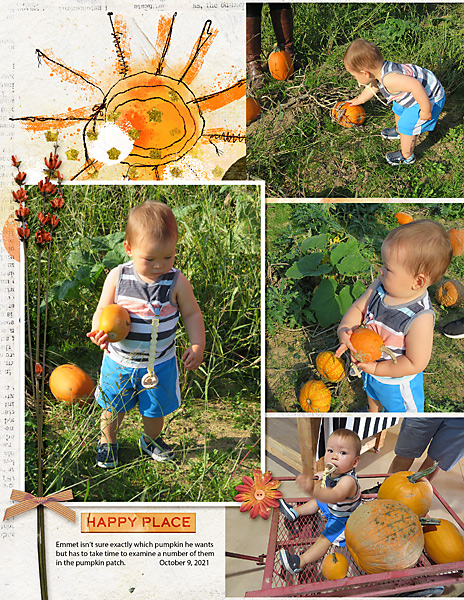 Pumpkin-Patch_flowersgal_web