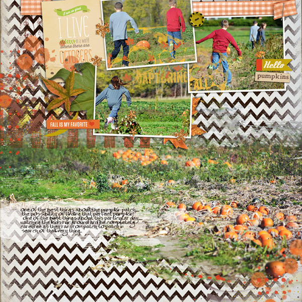 pumpkin possibilities