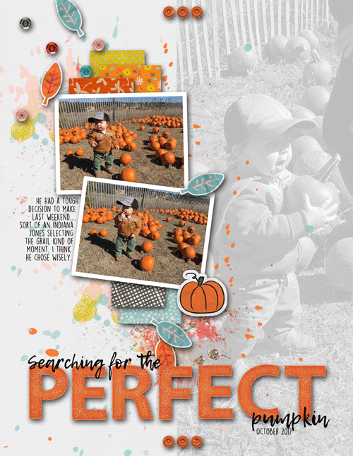 pumpkin search-web
