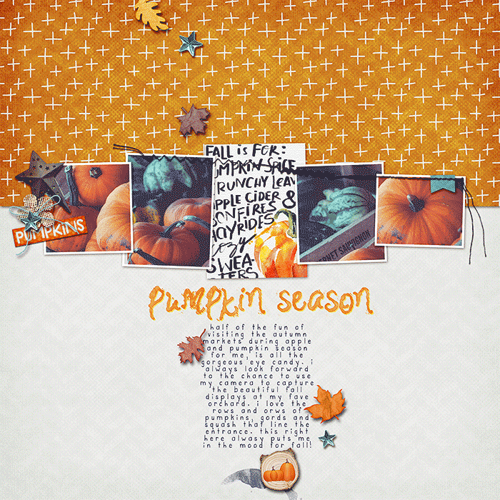 Pumpkin Season