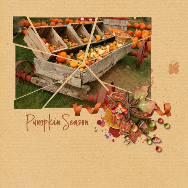 Pumpkin Season