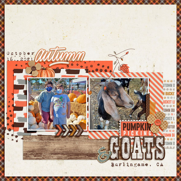 Pumpkins and Goats