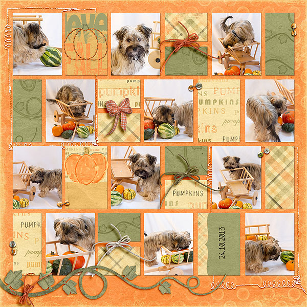 Pumpkins