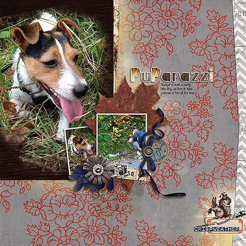 Pup-arazzi