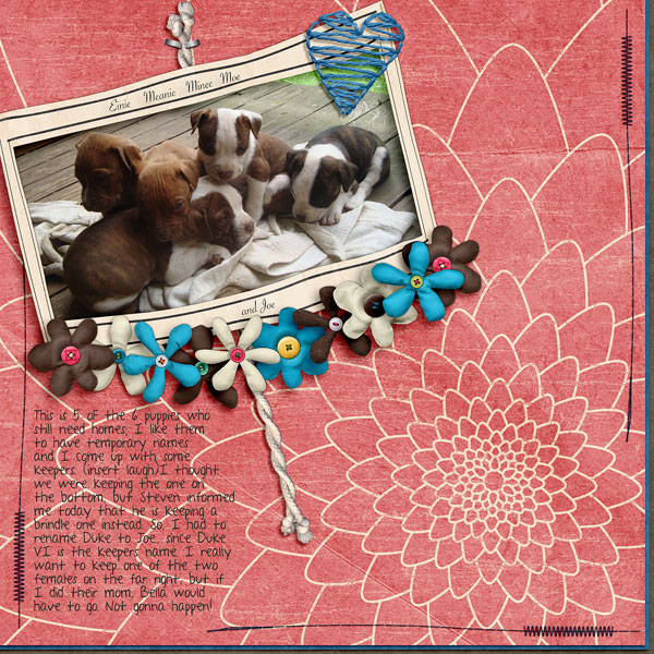 Pup Names?