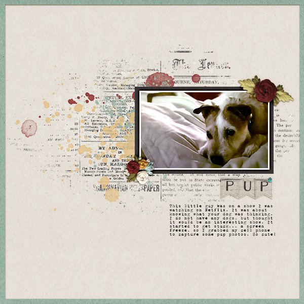 Pup