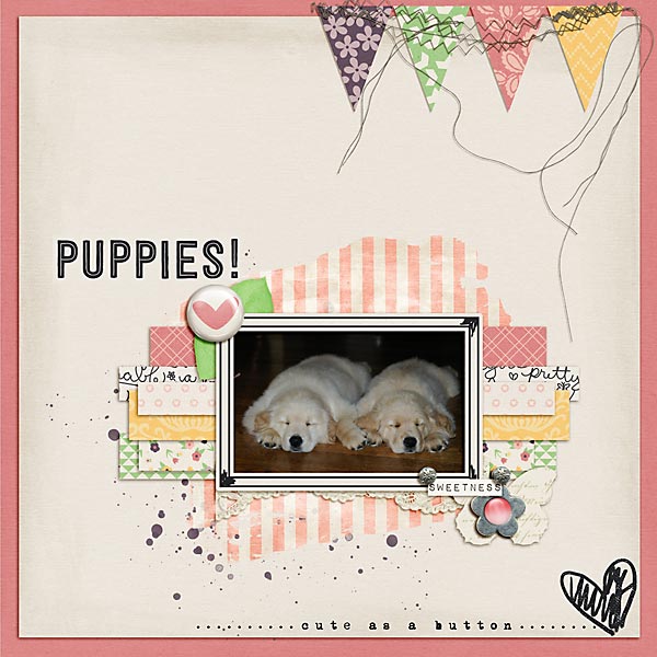 Puppies!