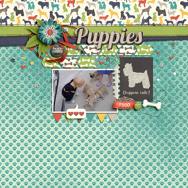 Puppies