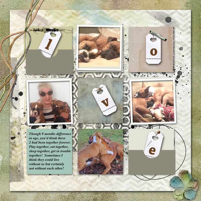 Puppy-challenge3