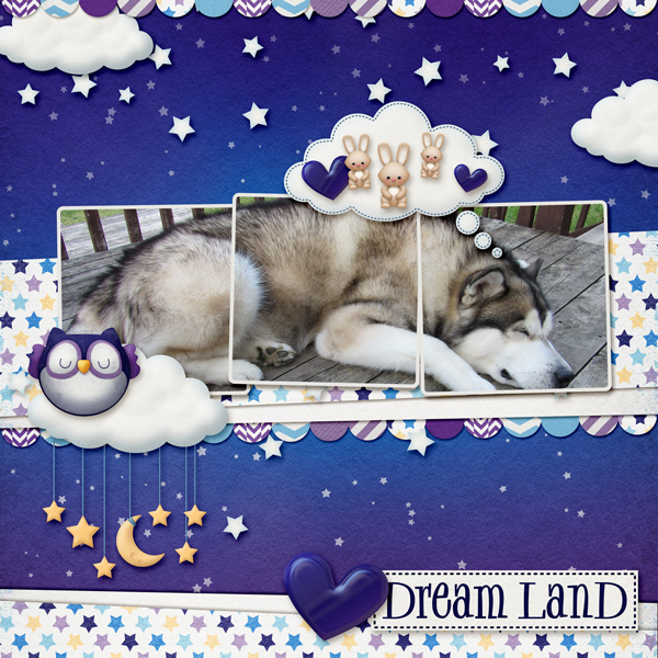 Puppy Dreams - July Photography Challenge