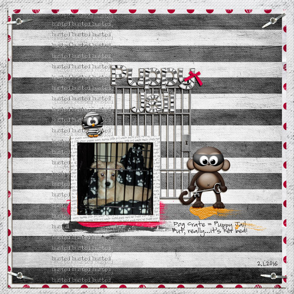 Puppy Jail